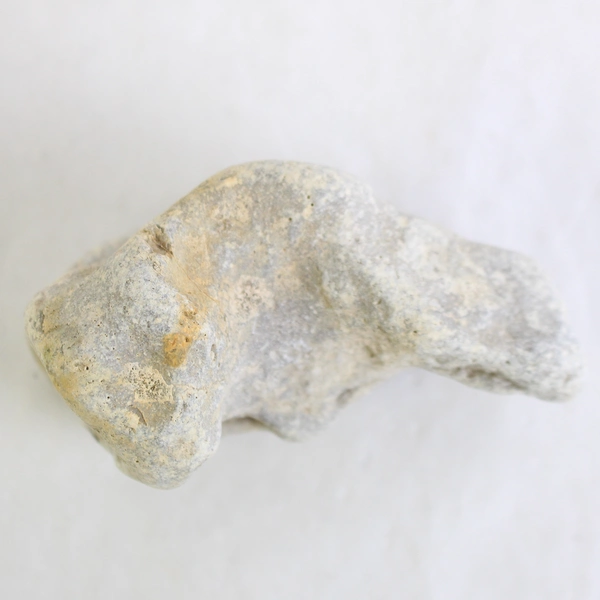 Hag Stone Adder Rock with Healing Properties Unique Natural Collectible