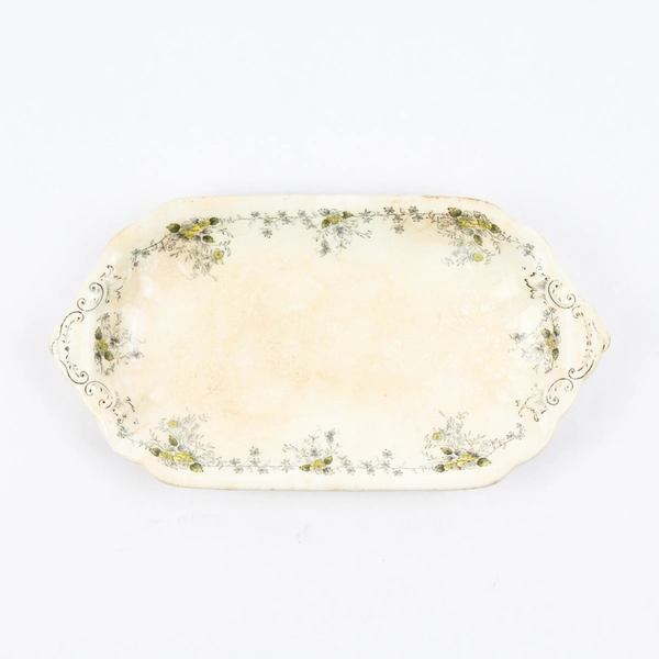 Antique TR Boote Waterloo Potteries Schonbrunn Trinket Tray Burslem England