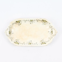 Antique TR Boote Waterloo Potteries Schonbrunn Trinket Tray Burslem England