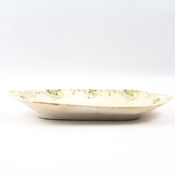 Antique TR Boote Waterloo Potteries Schonbrunn Trinket Tray Burslem England