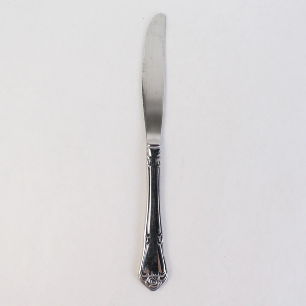 Set of 4 Oneida Arbor Rose Stainless Steel Solid Dinner Knives