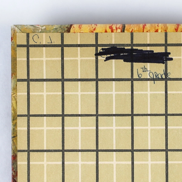 Vintage The Indian Mummy Mystery by Troy Nesbit 1964 Hardcover Book