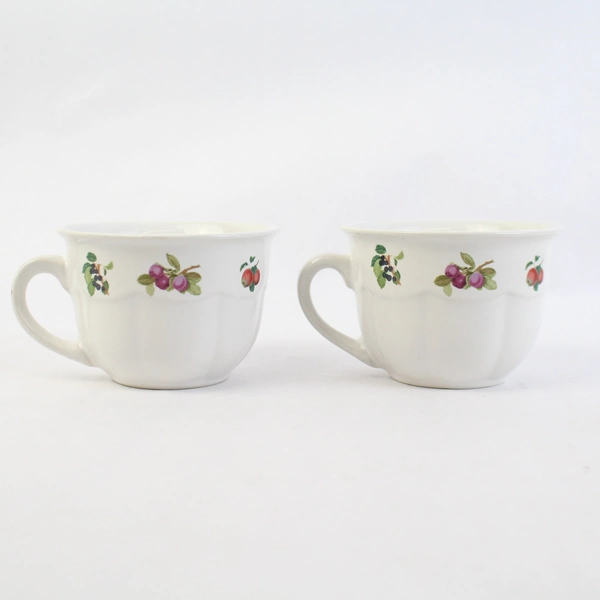 Set of 2 Gibson Fruit Orchard Coffee Tea Cups