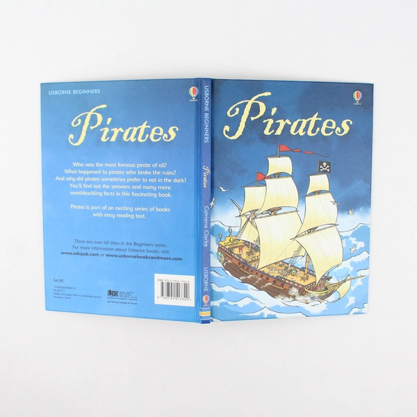 Pirates by Catriona Clarke Easy Reader Usborne Beginners 2006 Hardcover 