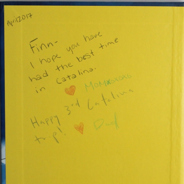 Pirates by Catriona Clarke Easy Reader Usborne Beginners 2006 Hardcover 