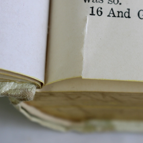 Self Pronouncing Altar Bible Old & New Testaments A.J Holman 20th Century Ed