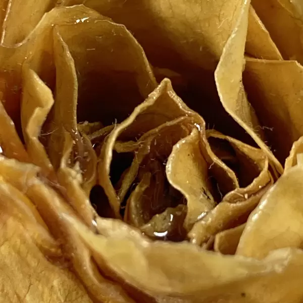 Handcrafted Yellow Rose Bud Hat Pin - Elegant Gold-tone Accessory