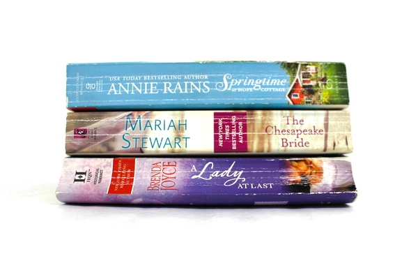 Lot of 3 Romance Novels by Annie Rains, Mariah Stewart & Brenda Joyce