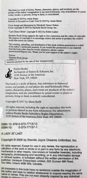 Lot of 3 Romance Novels by Annie Rains, Mariah Stewart & Brenda Joyce