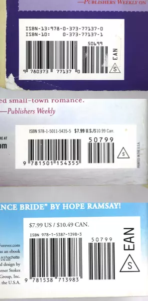 Lot of 3 Romance Novels by Annie Rains, Mariah Stewart & Brenda Joyce