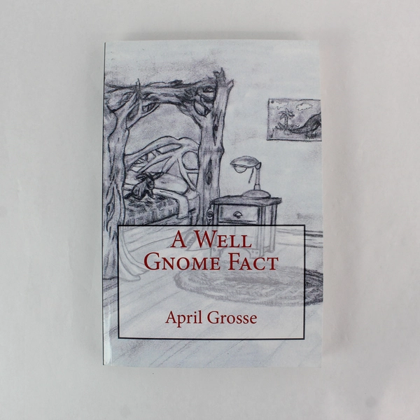 A Well Gnome Fact by April Grosse Paperback Children's Christmas Novel