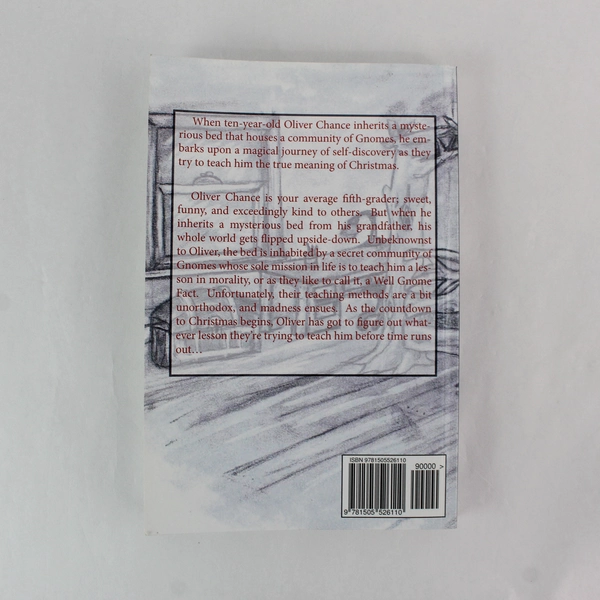 A Well Gnome Fact by April Grosse Paperback Children's Christmas Novel