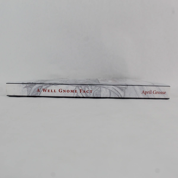 A Well Gnome Fact by April Grosse Paperback Children's Christmas Novel