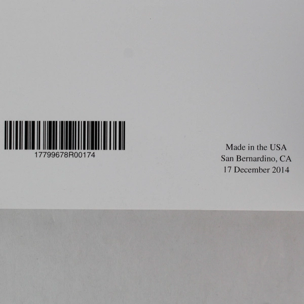 A Well Gnome Fact by April Grosse Paperback Children's Christmas Novel