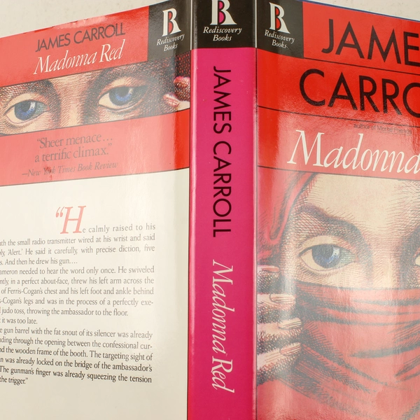 Madonna Red by James Carroll 1987 Hardcover - Good Condition