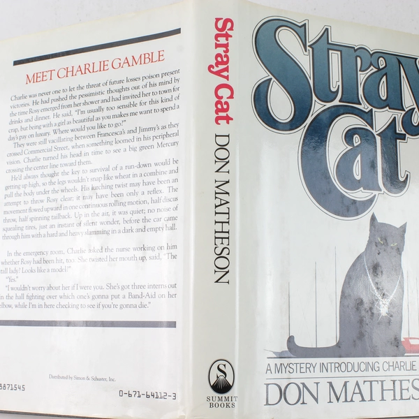 Stray Cat by Don Matheson 1987 Hardcover Mystery Book in Good Condition