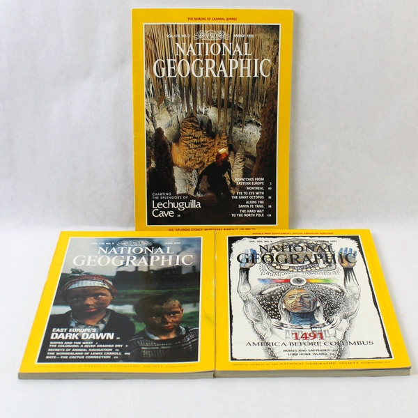 Lot of 3 Vintage 1991 National Geographic Magazines - March, June, October