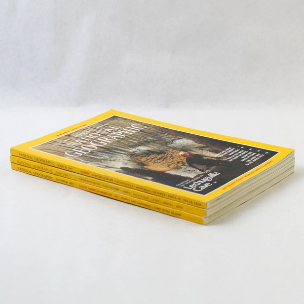 Lot of 3 Vintage 1991 National Geographic Magazines - March, June, October