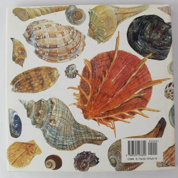 Pond Lake River Sea by Maryjo Koch 1998 Hardcover Nature Illustrations Book