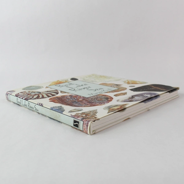 Pond Lake River Sea by Maryjo Koch 1998 Hardcover Nature Illustrations Book