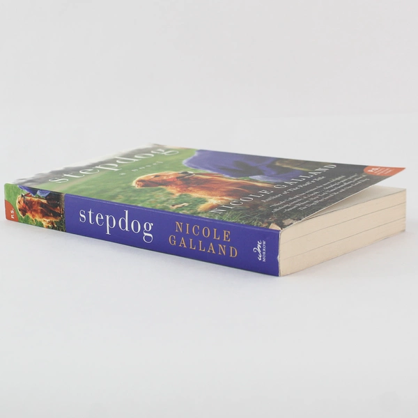 Stepdog by Nicole Galland Paperback Novel 2015 Good Condition