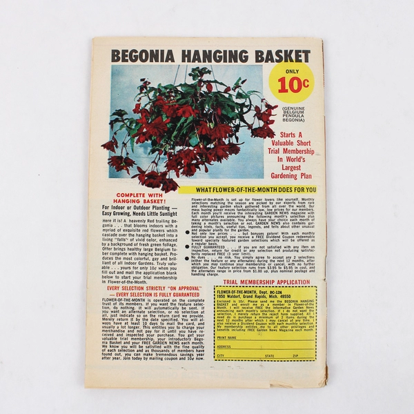 Vintage The Workbasket and Home Arts Magazine February 1981