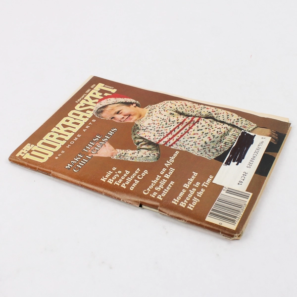 Vintage The Workbasket and Home Arts Magazine February 1981