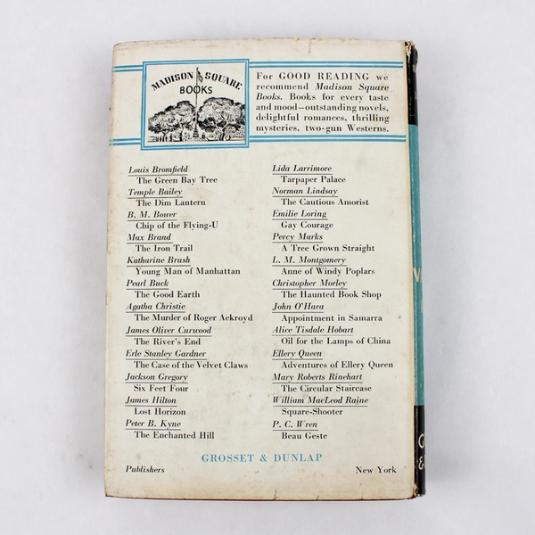 Vintage The Shanghai Bund Murders by Van Wyck Mason 1933 Hardcover Dust Jacket