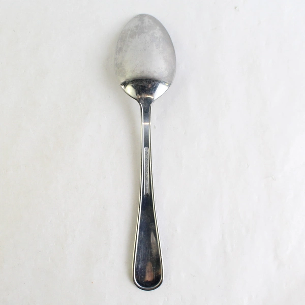 Reed & Barton Berry Vine Stainless Steel Serving Spoon