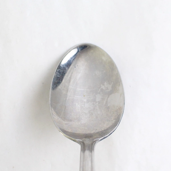 Reed & Barton Berry Vine Stainless Steel Serving Spoon