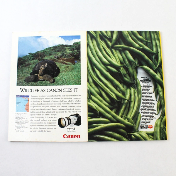 Lot of 2 Vintage National Geographic Magazines Feb & Nov 1991 Collectible