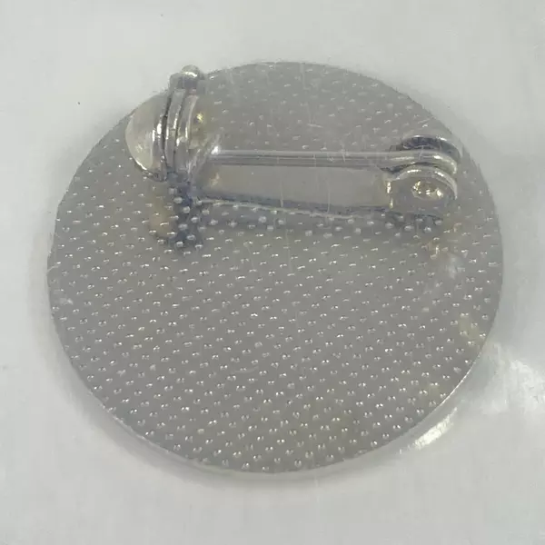 The Captains Circle Princess Cruise Line Souvenir Lapel Pin Souvenir