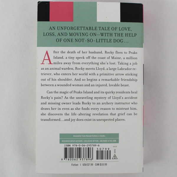 Lost & Found by Jacqueline Sheehan Paperback 2007, Very Good Condition