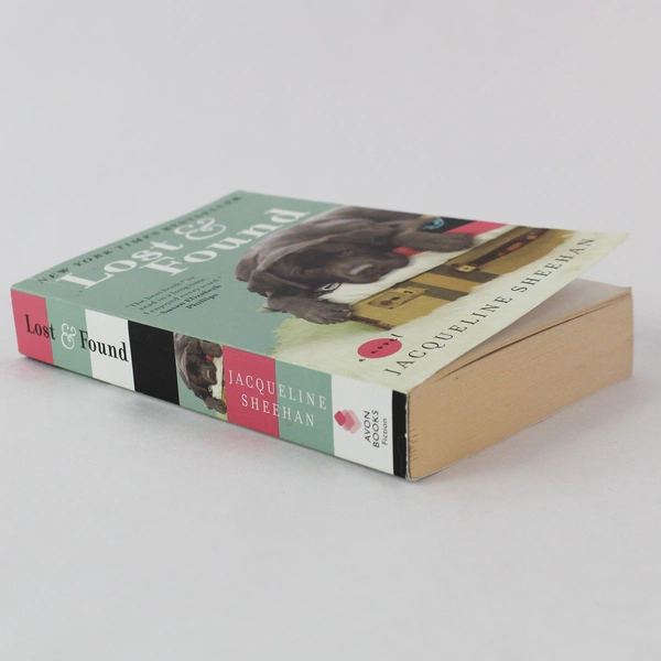 Lost & Found by Jacqueline Sheehan Paperback 2007, Very Good Condition