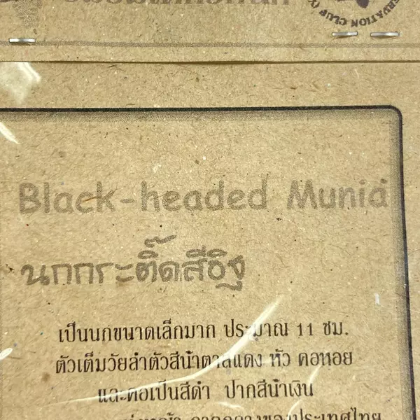 Young Bird Conservation Club Black Headed Munia Pin from Thailand - New!