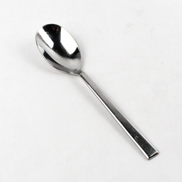 Reed & Barton Everyday Addison Stainless Steel Serving Spoon