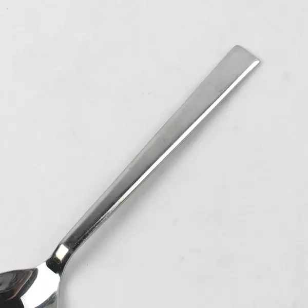 Reed & Barton Everyday Addison Stainless Steel Serving Spoon