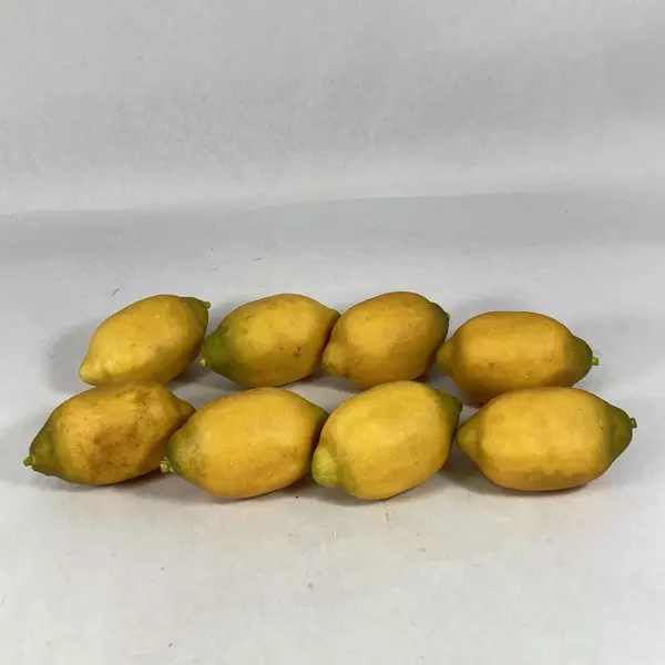 Lot of 14 Artificial Fruit - Lemons, Pears, Apple & Lime - Home Décor