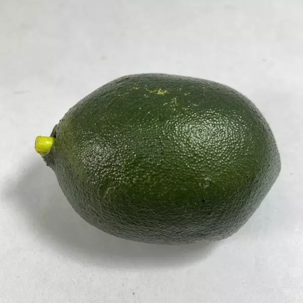 Lot of 14 Artificial Fruit - Lemons, Pears, Apple & Lime - Home Décor