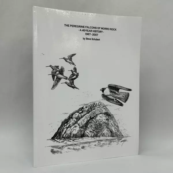 Peregrine Falcons of Morro Rock A 50-Year History: 1967 - 2007 by Steve Schubert