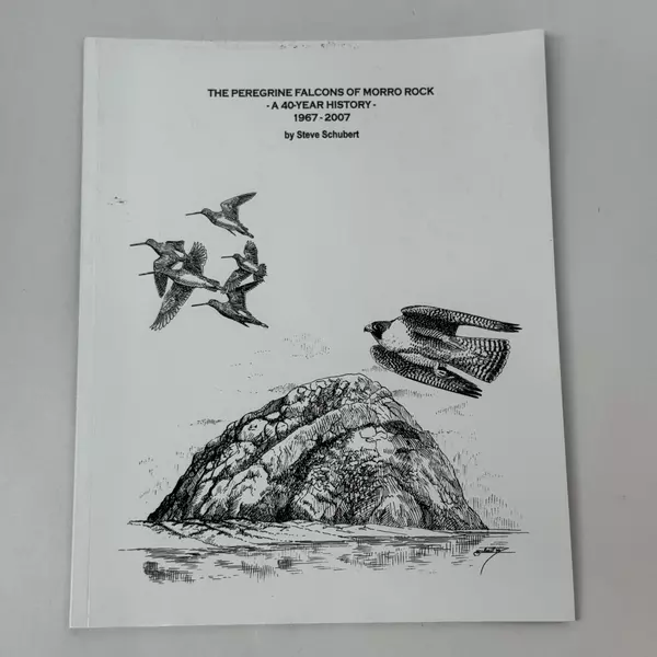 Peregrine Falcons of Morro Rock A 50-Year History: 1967 - 2007 by Steve Schubert