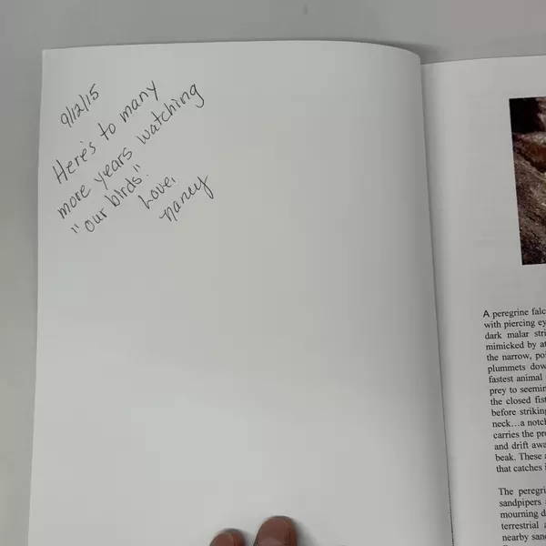 Peregrine Falcons of Morro Rock A 50-Year History: 1967 - 2007 by Steve Schubert