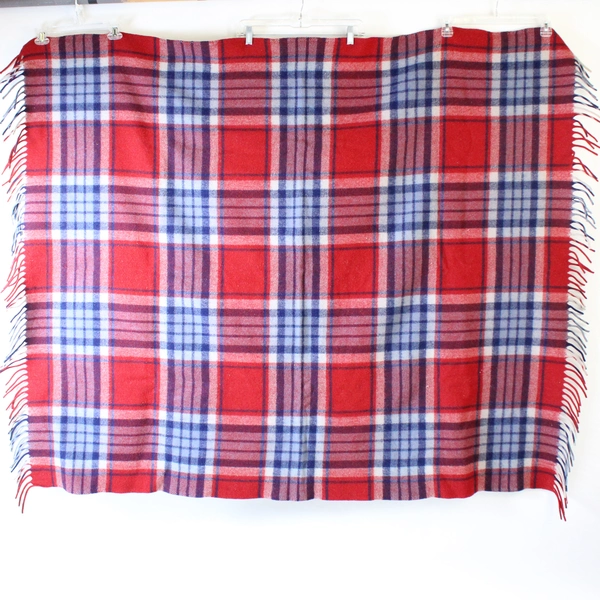 Unbranded Red and Blue Plaid Throw Blanket with Tassels 52x62"