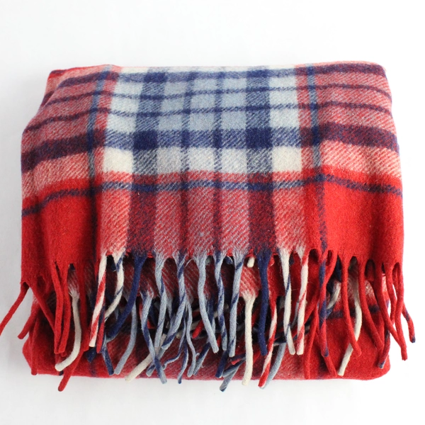 Unbranded Red and Blue Plaid Throw Blanket with Tassels 52x62"