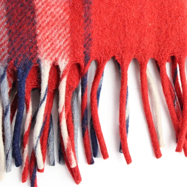 Unbranded Red and Blue Plaid Throw Blanket with Tassels 52x62"
