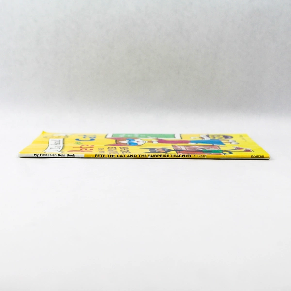 I Can Read My First Book Pete the Cat And The Surprise Teacher 2017 Paperback