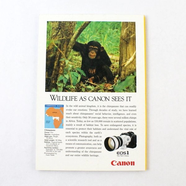 Vintage National Geographic Magazine Feb 1990 Vol. 177 No. 2 Collectible