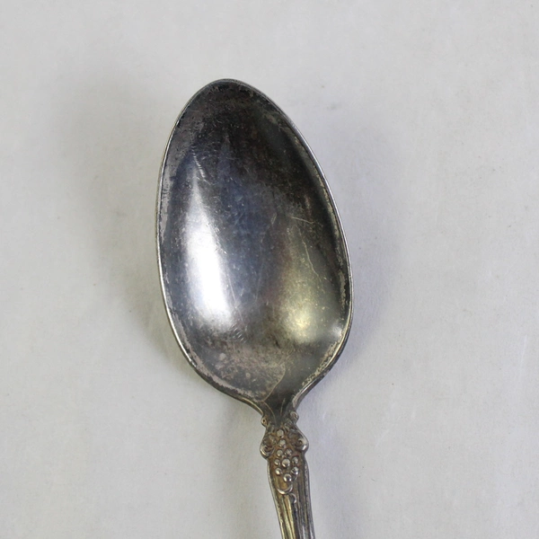Vintage 1847 Roger Bros Vintage Pattern Triple Silver Plate Teaspoon
