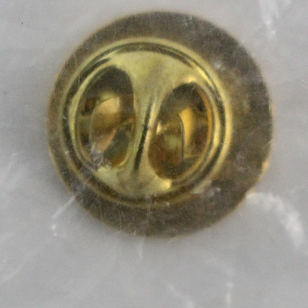 USAA Mexican Riviera Enamel Lapel Pin - Collectible Travel Pin