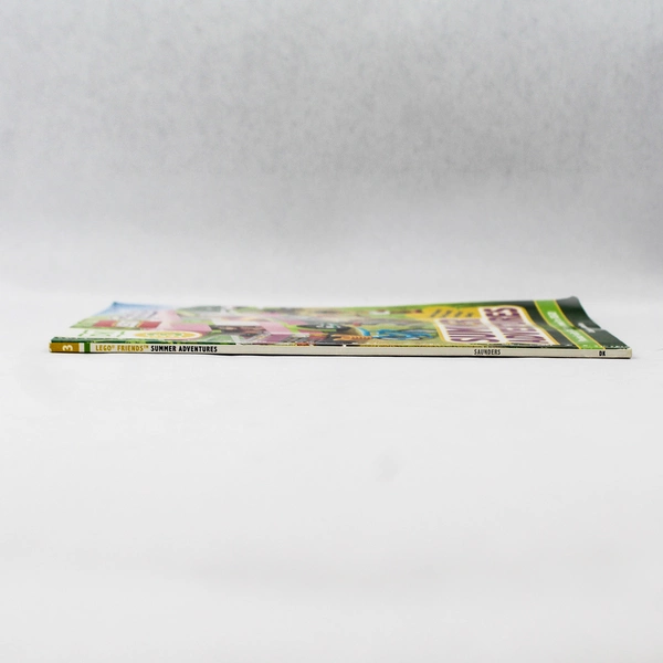 Summer Adventures by Catherine Saunders DK Reader Level 3 Lego Friends 2020 PB